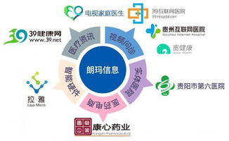 中国互联网企业100强揭晓 贵阳朗玛公司连续四年上榜